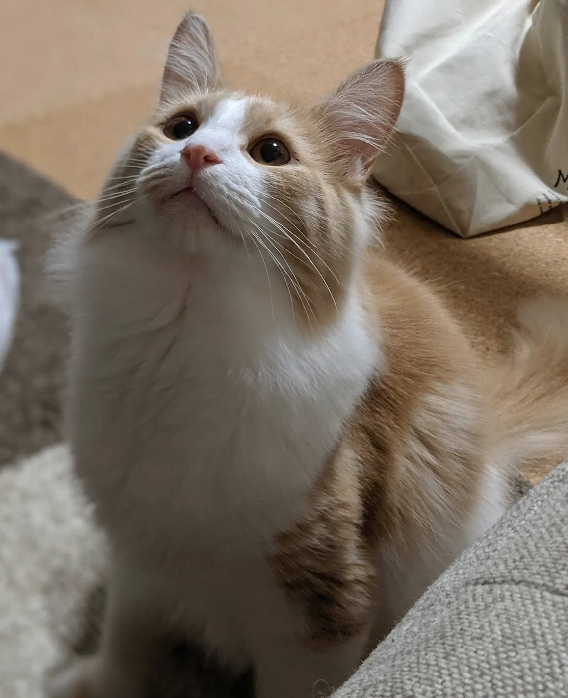 haru201907121